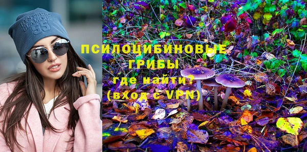 тгк Алексеевка