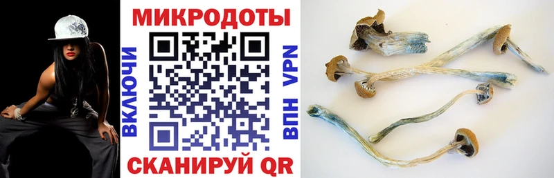 даркнет какой сайт  MEGA   Лабинск  Псилоцибиновые грибы Cubensis 