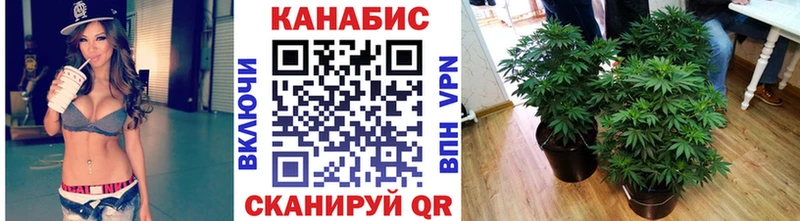 купить  сайты  Лабинск  Каннабис индика 
